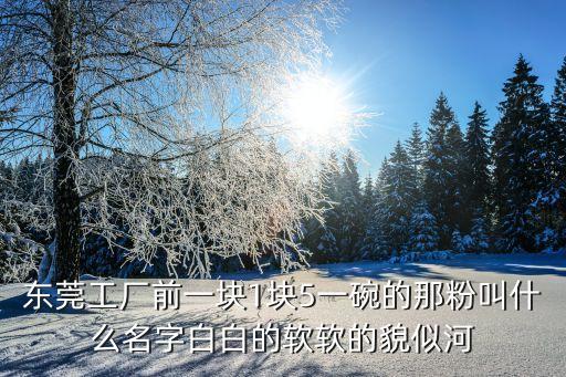 東莞工廠前一塊1塊5一碗的那粉叫什么名字白白的軟軟的貌似河