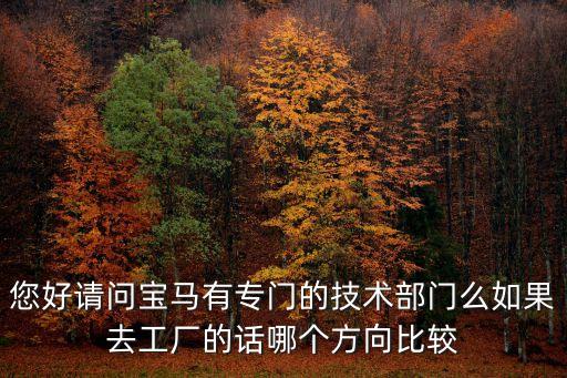 您好請問寶馬有專門的技術(shù)部門么如果去工廠的話哪個方向比較