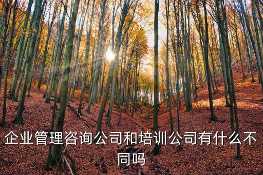 企業管理咨詢公司和培訓公司有什么不同嗎