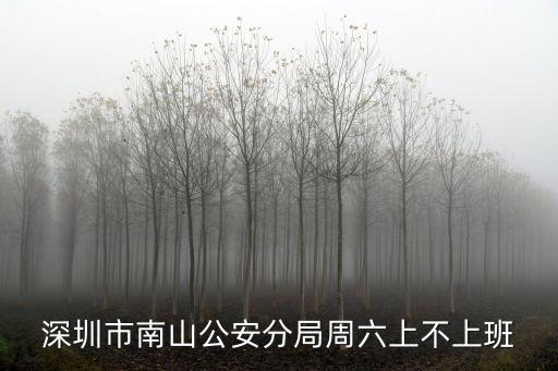 深圳市南山公安分局周六上不上班