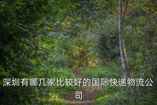 深圳有哪幾家比較好的國際快遞物流公司