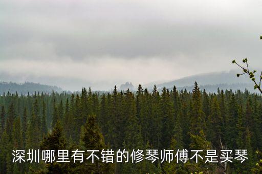 深圳大提琴維修公司，請問哪里有維修小提琴的謝謝