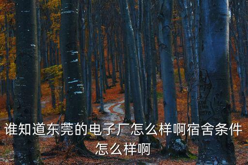 東莞華馳精密電子廠怎么樣，誰知道東莞的電子廠怎么樣啊宿舍條件怎么樣啊
