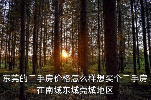 東莞金域國際二手房價，有誰知道東莞二手房買方的收費標準