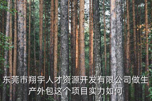 東莞市翔宇人才資源開發(fā)有限公司做生產(chǎn)外包這個項目實力如何