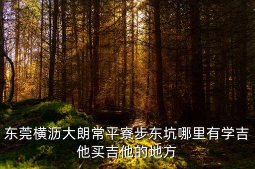 東莞橫瀝大朗常平寮步東坑哪里有學吉他買吉他的地方