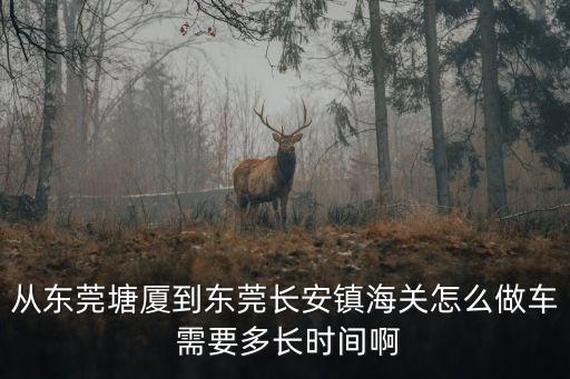 從東莞塘廈到東莞長安鎮海關怎么做車 需要多長時間啊