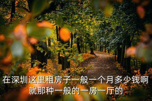 深圳寶城大廈租房多少錢，深圳租房子多少錢