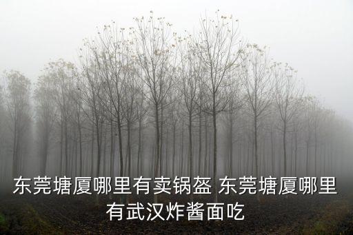 東莞塘廈哪里有賣鍋盔 東莞塘廈哪里有武漢炸醬面吃