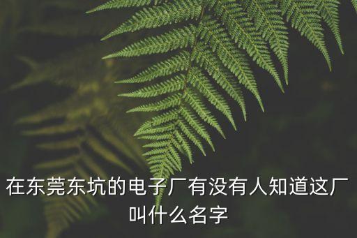 在東莞東坑的電子廠有沒有人知道這廠叫什么名字