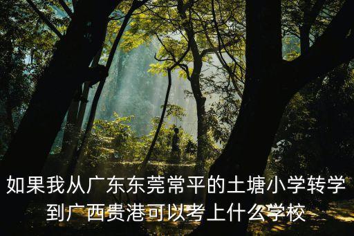 東莞土塘小學好嗎，東莞市有哪些好的小學最好隔南城近的