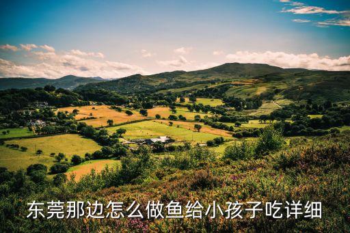 東莞那邊怎么做魚給小孩子吃詳細