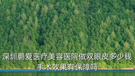 深圳鵬愛醫療美容醫院做雙眼皮多少錢手術效果有保障嗎