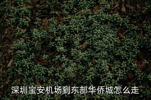 深圳寶安區到東部華僑城怎么走，寶安機場到東部華僑城怎么走