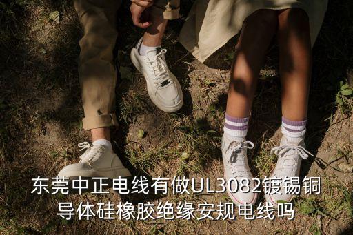東莞中正精密，廣東省東莞市塘廈鎮(zhèn)蓮湖工業(yè)區(qū)68號嗎