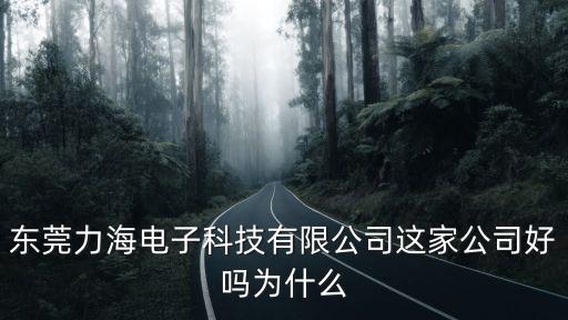 東莞力海電子科技有限公司這家公司好嗎為什么