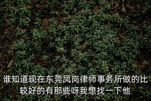誰知道現在東莞鳳崗律師事務所做的比較好的有那些呀我想找一下他