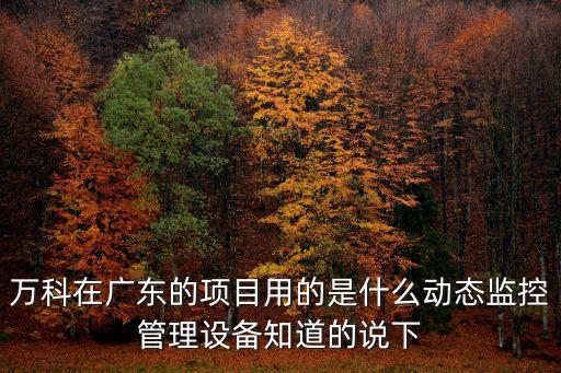 萬科在廣東的項目用的是什么動態監控管理設備知道的說下