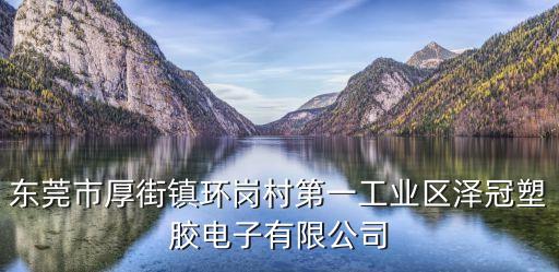 東莞市厚街鎮環崗村第一工業區澤冠塑膠電子有限公司