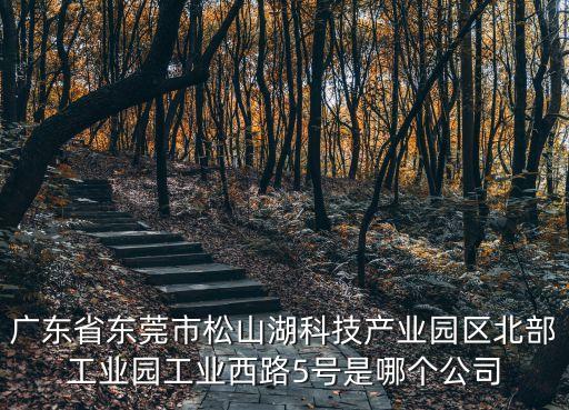 廣東省東莞市松山湖科技產業園區北部工業園工業西路5號是哪個公司