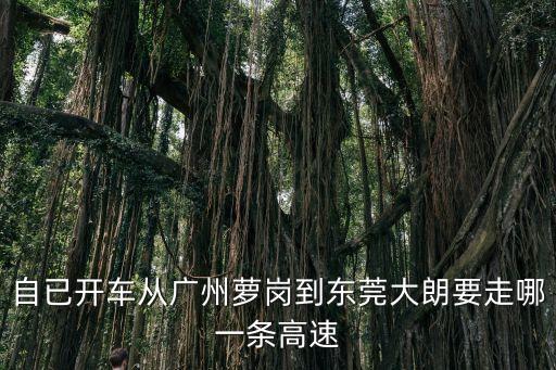 自已開車從廣州蘿崗到東莞大朗要走哪一條高速