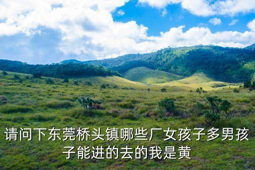 請問下東莞橋頭鎮哪些廠女孩子多男孩子能進的去的我是黃