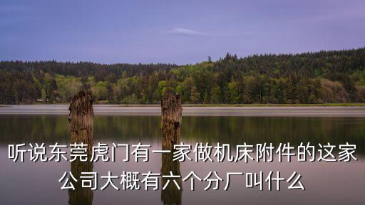 聽說東莞虎門有一家做機床附件的這家公司大概有六個分廠叫什么