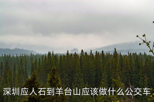 深圳崗頭去羊臺山坐幾路車，深圳市到羊臺山怎么走