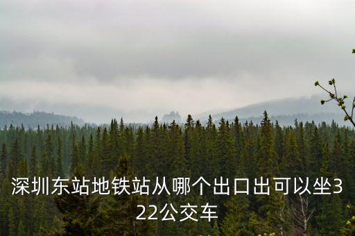 深圳東站地鐵站從哪個出口出可以坐322公交車
