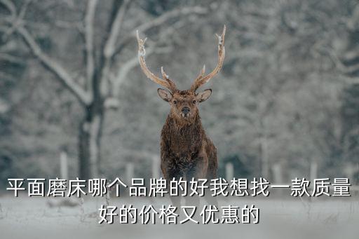 平面磨床哪個品牌的好我想找一款質(zhì)量好的價格又優(yōu)惠的