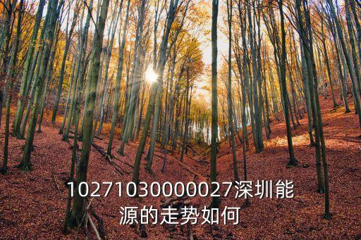 10271030000027深圳能源的走勢如何