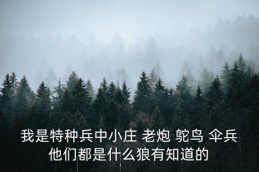 東莞鳳城鎮小莊村，我是特種兵中小莊 老炮 鴕鳥 傘兵他們都是什么狼有知道的