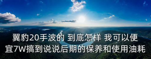 翼豹20手波的 到底怎樣 我可以便宜7W搞到說說后期的保養和使用油耗