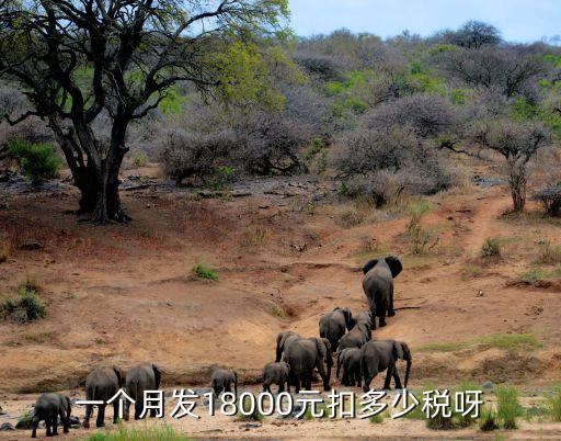 東莞18000稅后工資多少，東莞標準工資