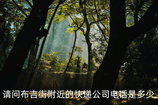 請問布吉街附近的快遞公司電話是多少