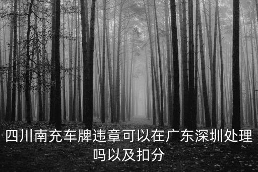 四川南充車牌違章可以在廣東深圳處理嗎以及扣分