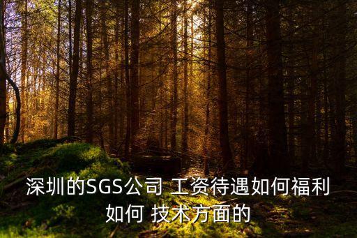 深圳的SGS公司 工資待遇如何福利如何 技術方面的