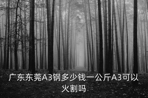 廣東東莞A3鋼多少錢一公斤A3可以火割嗎