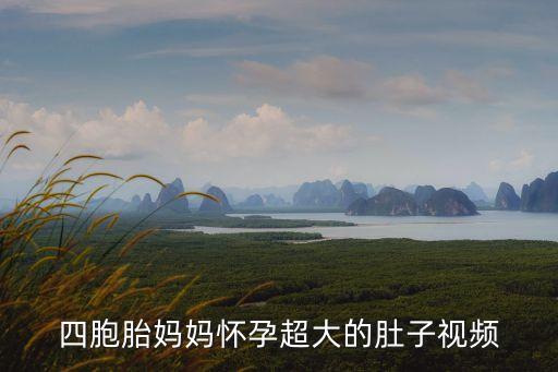 四胞胎媽媽懷孕超大的肚子視頻