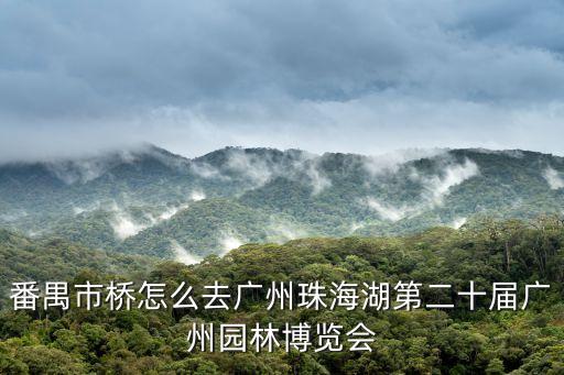 深圳市第十九屆網協杯，禹王臺的櫻花還在開放嗎