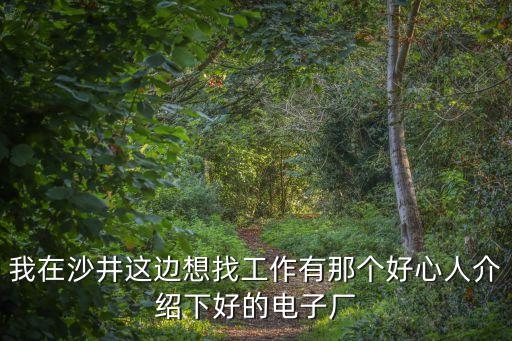 我在沙井這邊想找工作有那個好心人介紹下好的電子廠