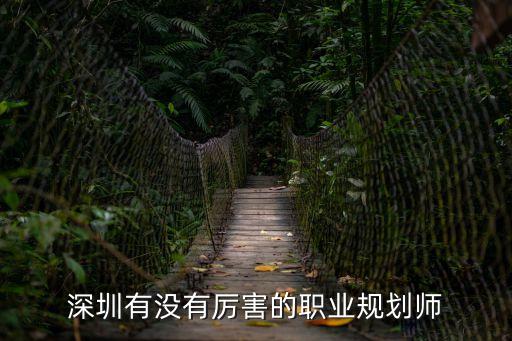 深圳有哪些職業規劃，深圳有沒有厲害的職業規劃師