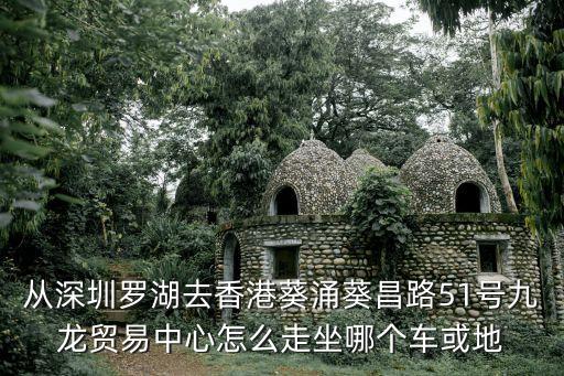 從深圳羅湖去香港葵涌葵昌路51號九龍貿易中心怎么走坐哪個車或地