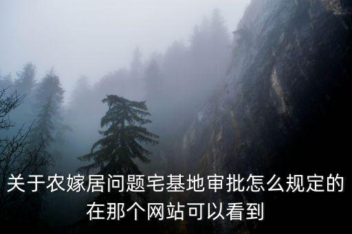 關于農(nóng)嫁居問題宅基地審批怎么規(guī)定的在那個網(wǎng)站可以看到