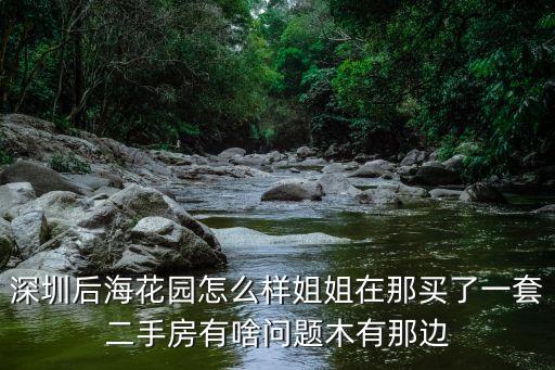 深圳后海花園怎么樣姐姐在那買了一套二手房有啥問題木有那邊