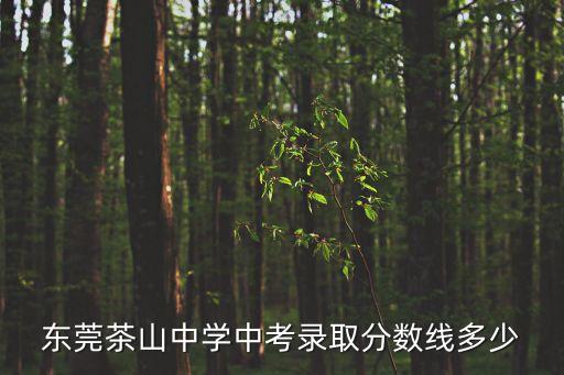 東莞茶山中學2021年招生，東莞茶山中學中考錄取分數線多少