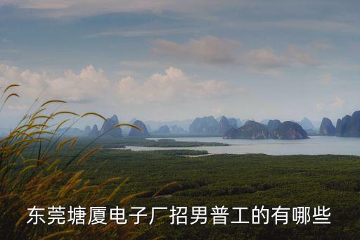 東莞塘廈電子廠招男普工的有哪些