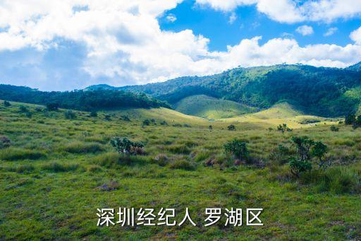 聽泉居深圳，深圳經紀人 羅湖區