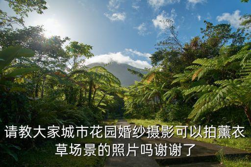 請(qǐng)教大家城市花園婚紗攝影可以拍薰衣草場(chǎng)景的照片嗎謝謝了