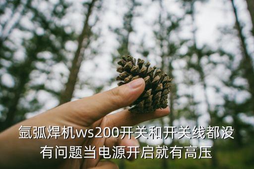 氬弧焊機ws200開關和開關線都沒有問題當電源開啟就有高壓